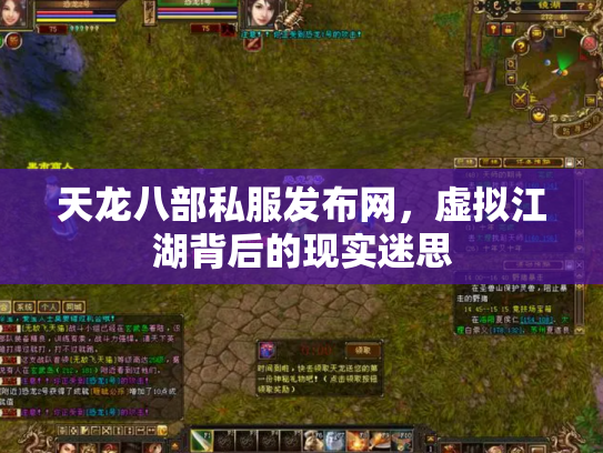 天龙八部私服发布网，虚拟江湖背后的现实迷思