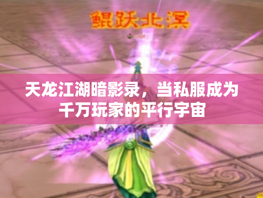 天龙江湖暗影录，当私服成为千万玩家的平行宇宙