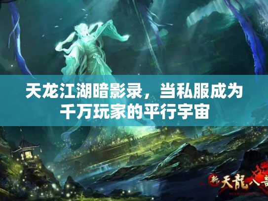 天龙江湖暗影录，当私服成为千万玩家的平行宇宙