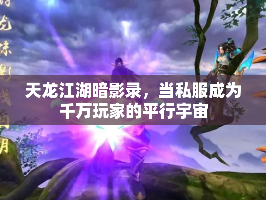 天龙江湖暗影录，当私服成为千万玩家的平行宇宙