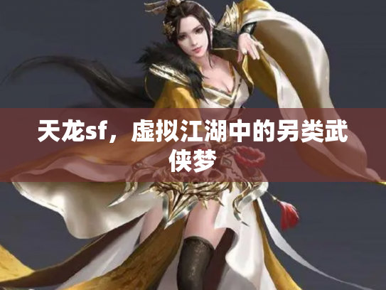 天龙sf，虚拟江湖中的另类武侠梦