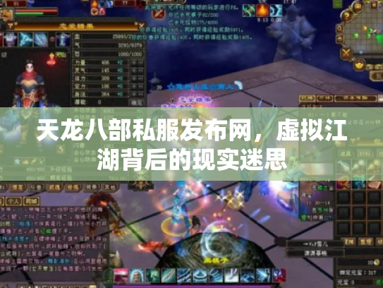 天龙八部私服发布网，虚拟江湖背后的现实迷思