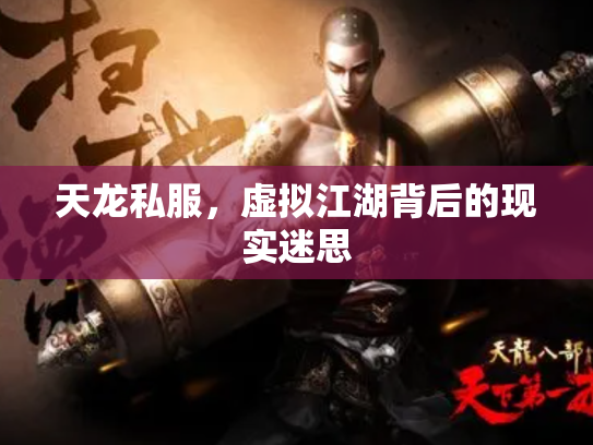 天龙私服，虚拟江湖背后的现实迷思