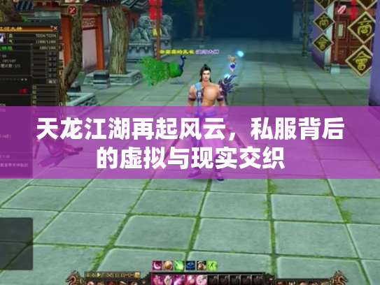 天龙江湖再起风云，私服背后的虚拟与现实交织