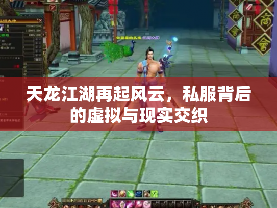 天龙江湖再起风云，私服背后的虚拟与现实交织