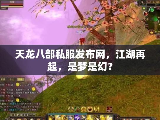 天龙八部私服发布网，江湖再起，是梦是幻？
