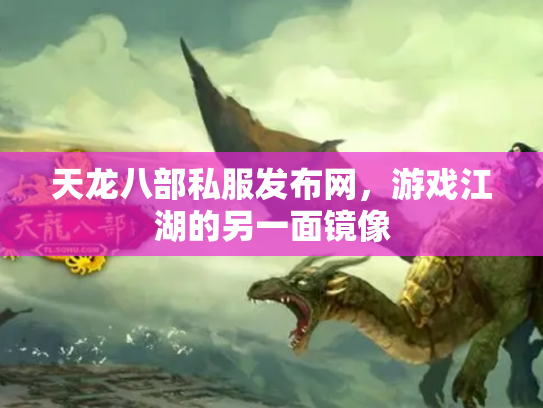 天龙八部私服发布网，游戏江湖的另一面镜像