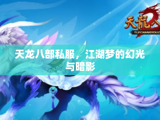 天龙八部私服，江湖梦的幻光与暗影