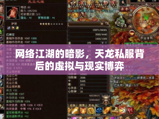 网络江湖的暗影，天龙私服背后的虚拟与现实博弈