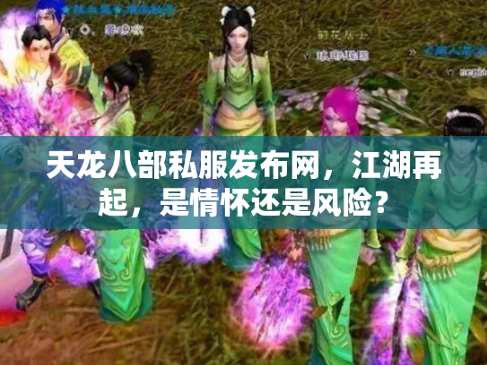 天龙八部私服发布网，江湖再起，是情怀还是风险？