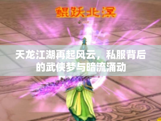 天龙江湖再起风云，私服背后的武侠梦与暗流涌动