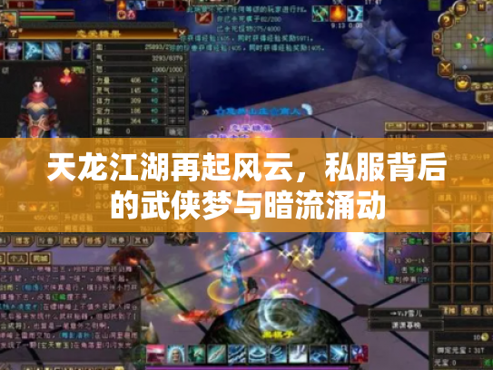 天龙江湖再起风云，私服背后的武侠梦与暗流涌动
