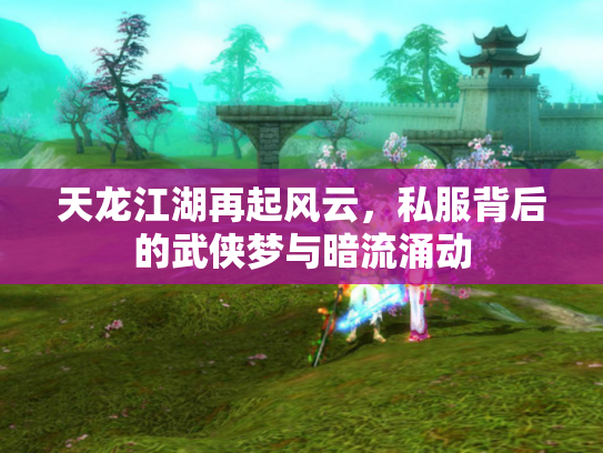 天龙江湖再起风云，私服背后的武侠梦与暗流涌动