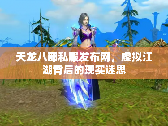 天龙八部私服发布网，虚拟江湖背后的现实迷思