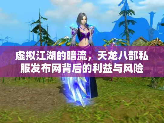 虚拟江湖的暗流，天龙八部私服发布网背后的利益与风险