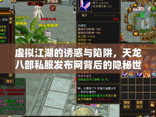 虚拟江湖的诱惑与陷阱，天龙八部私服发布网背后的隐秘世界