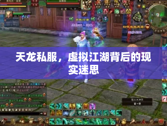 天龙私服，虚拟江湖背后的现实迷思