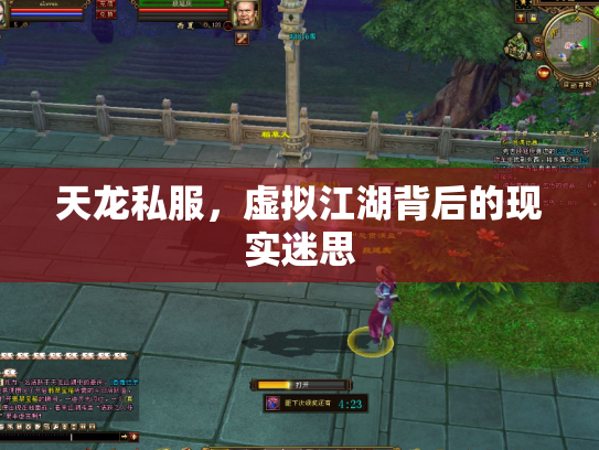 天龙私服，虚拟江湖背后的现实迷思