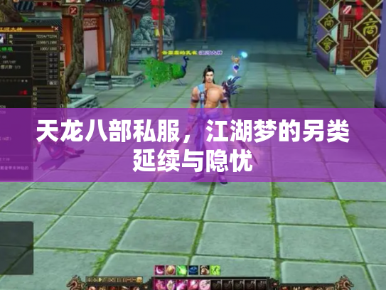 天龙八部私服，江湖梦的另类延续与隐忧