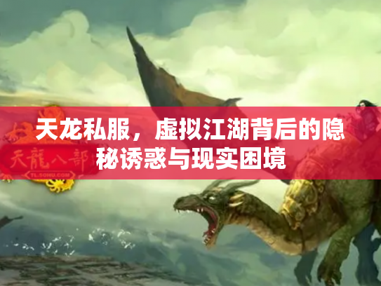 天龙私服，虚拟江湖背后的隐秘诱惑与现实困境