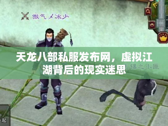 天龙八部私服发布网，虚拟江湖背后的现实迷思