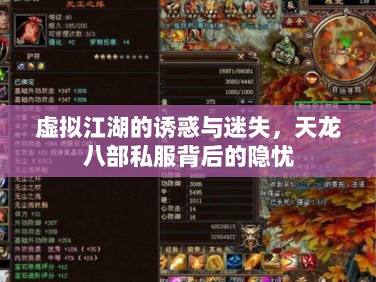 虚拟江湖的诱惑与迷失，天龙八部私服背后的隐忧