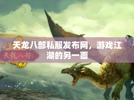 天龙八部私服发布网，游戏江湖的另一面