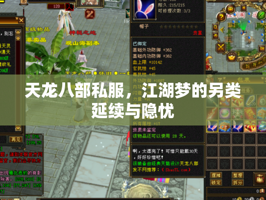 天龙八部私服，江湖梦的另类延续与隐忧