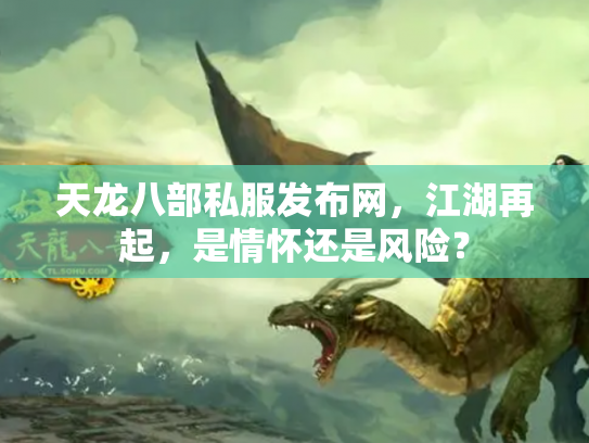天龙八部私服发布网，江湖再起，是情怀还是风险？