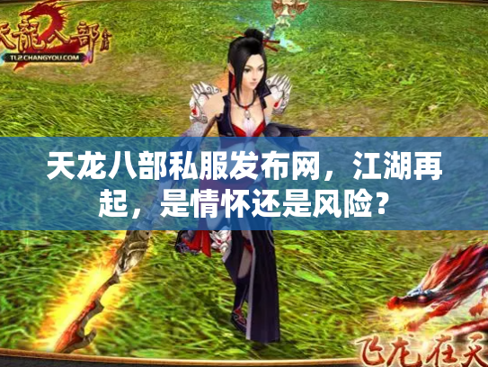 天龙八部私服发布网，江湖再起，是情怀还是风险？