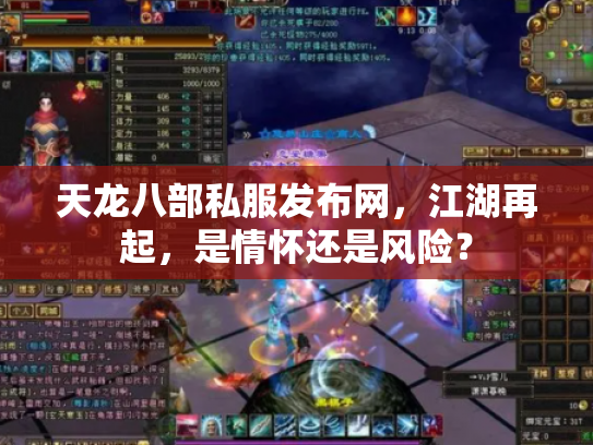 天龙八部私服发布网，江湖再起，是情怀还是风险？