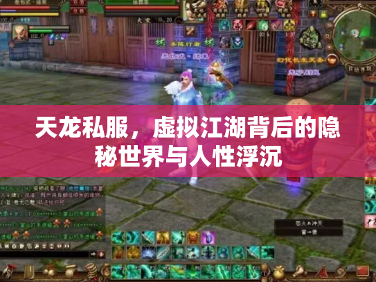 天龙私服，虚拟江湖背后的隐秘世界与人性浮沉