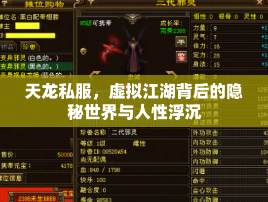 天龙私服，虚拟江湖背后的隐秘世界与人性浮沉
