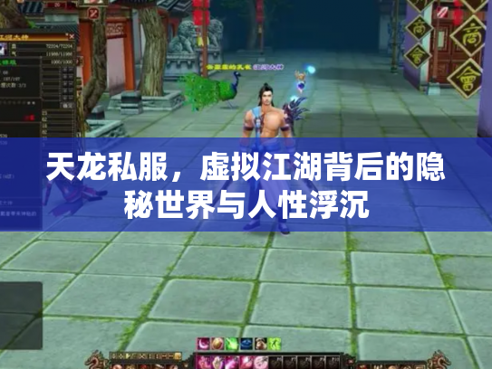 天龙私服，虚拟江湖背后的隐秘世界与人性浮沉