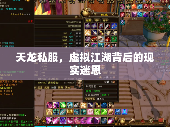 天龙私服，虚拟江湖背后的现实迷思