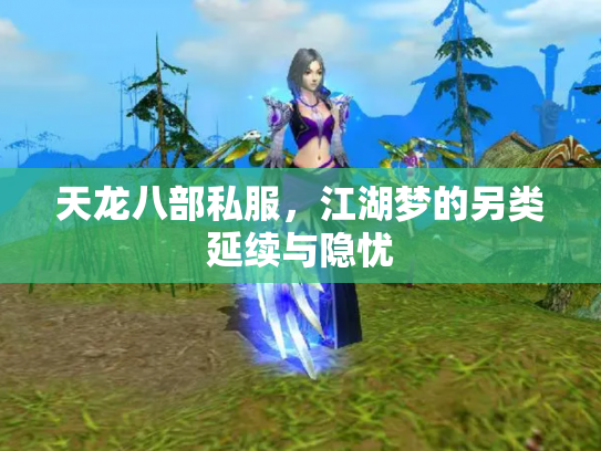 天龙八部私服，江湖梦的另类延续与隐忧