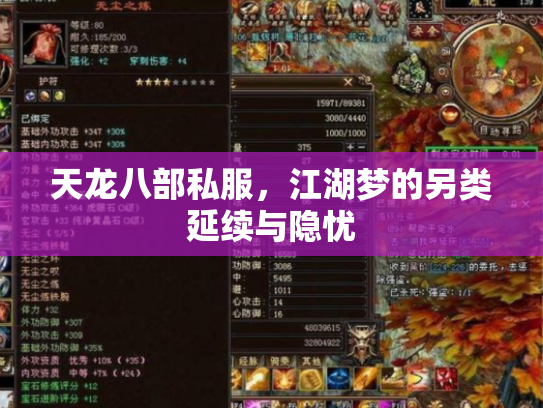 天龙八部私服，江湖梦的另类延续与隐忧