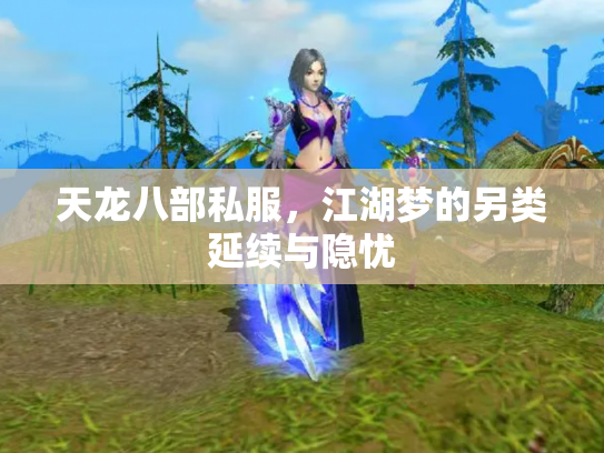天龙八部私服，江湖梦的另类延续与隐忧