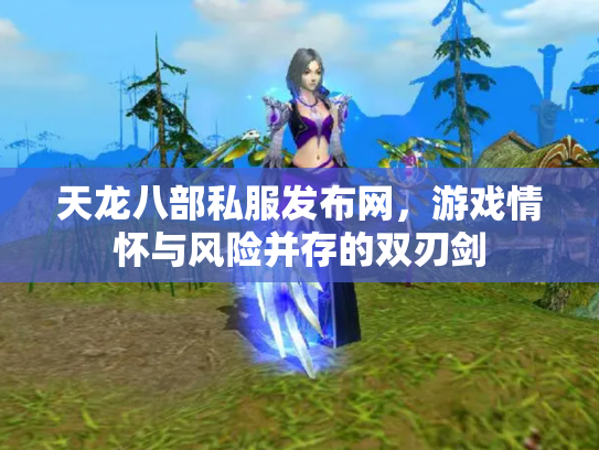 天龙八部私服发布网，游戏情怀与风险并存的双刃剑