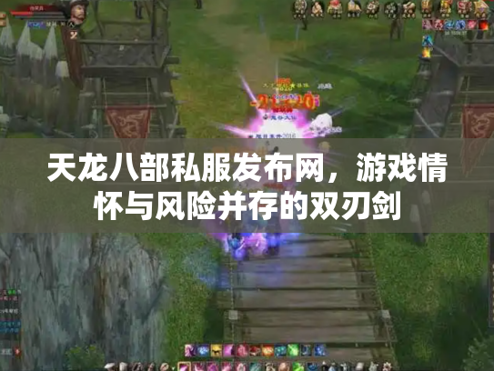 天龙八部私服发布网，游戏情怀与风险并存的双刃剑