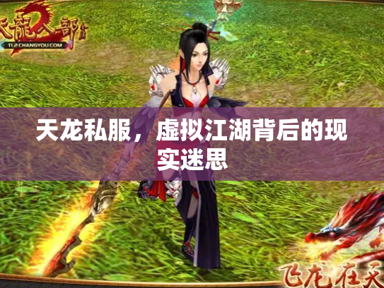天龙私服，虚拟江湖背后的现实迷思