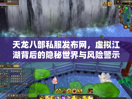 天龙八部私服发布网，虚拟江湖背后的隐秘世界与风险警示