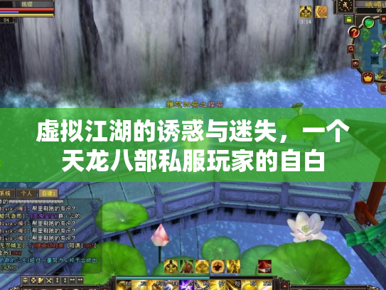 虚拟江湖的诱惑与迷失，一个天龙八部私服玩家的自白