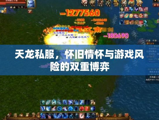 天龙私服，怀旧情怀与游戏风险的双重博弈