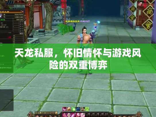 天龙私服，怀旧情怀与游戏风险的双重博弈