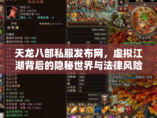 天龙八部私服发布网，虚拟江湖背后的隐秘世界与法律风险