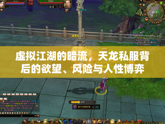 虚拟江湖的暗流，天龙私服背后的欲望、风险与人性博弈