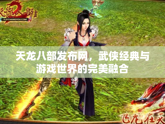天龙八部发布网，武侠经典与游戏世界的完美融合