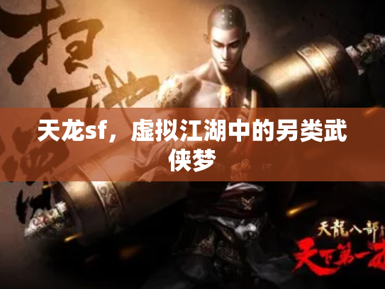 天龙sf，虚拟江湖中的另类武侠梦