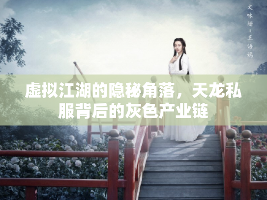 虚拟江湖的隐秘角落，天龙私服背后的灰色产业链